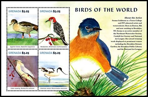 Gulfmann Birds Stamps Grenada ~ Grenada Birds