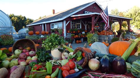 It's a great time to support your local farm. Here's how.
