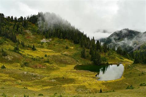 Appropriately Named Heart Lake Olympicnps One Of The Few Places