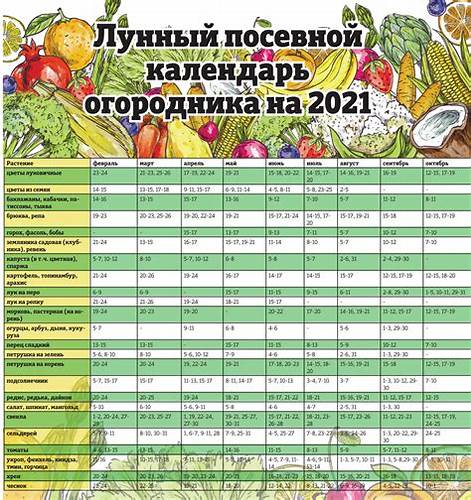 Лунный календарь для диеты похудение