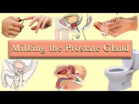 Milking The Prostate Gland Youtube