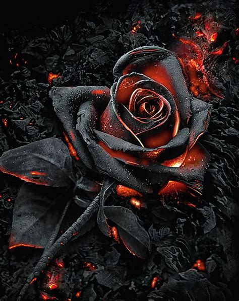 Female Grim Reaper Grim Reaper Tattoo Black Roses Wallpaper Lovely