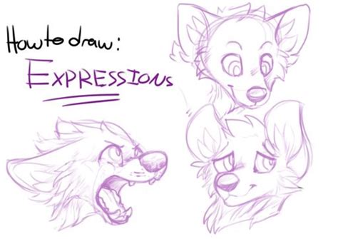 How To Draw Expressions Furry Amino