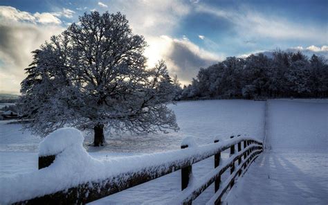 Fence Winter Wallpapers Wallpaper Cave