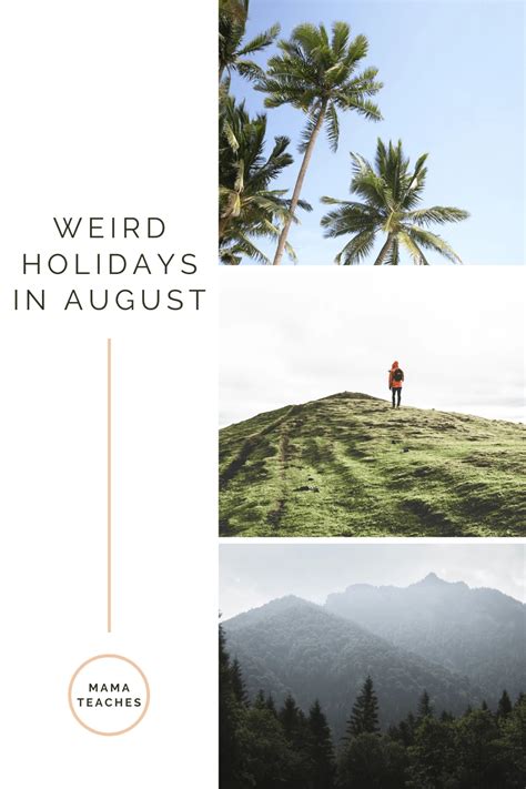 Unusual And Weird Holidays In August Mama Teaches