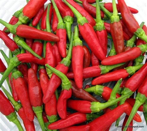 So, chilli peppers are good for your health are they? - Cambodia Expats