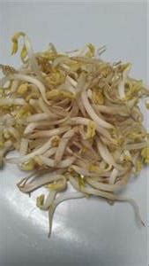 Calories In Bean Sprouts And Nutrition Facts