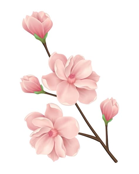 Flower Png Vectors And Illustrations For Free Download Freepik