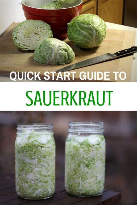 how to make sauerkraut ferment cabbage and enjoy tangy sauerkraut this how to guide will get