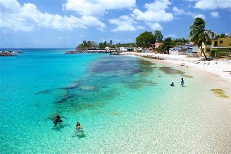 Turtle Beach By Elegant Hotels All Inclusive Desde S 1 405 Oistins Barbados Opiniones Y