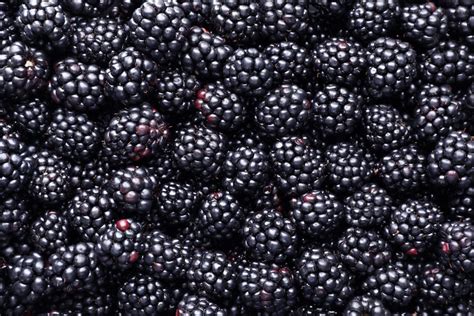 the nutritional facts and health benefits of blackberries