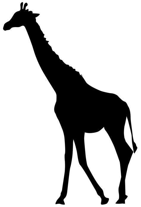 15 zoo svg black and white stock black and white professional designs for business and education. giraffe clipart transparent 20 free Cliparts | Download ...