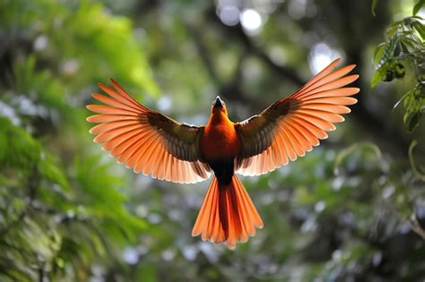 Premium Ai Image A Bird In Flight With Wings Spread Wid