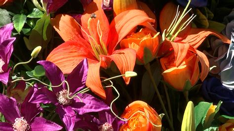 Belgravias Floral Fairground Brings Splash Of Colour In The