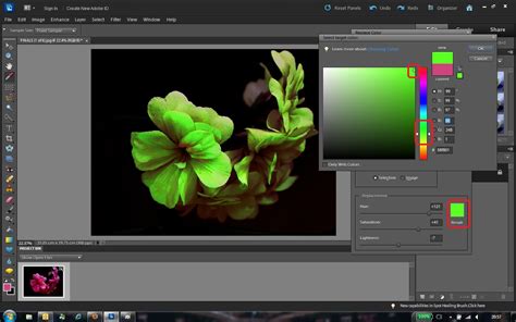 How To Replacechange Colors In Adobe Photoshop Elements Color