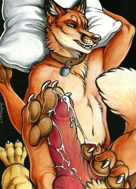 Rule 34 4 Toes Anthro Canine Canine Penis Claws Collar