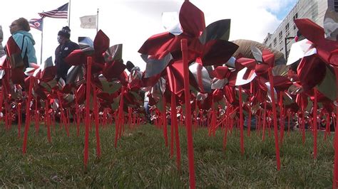 Thousands Of Pinwheels Planted At Ohio State Transplant Center For
