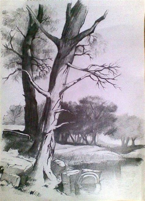 For ages, art has been one of the prime forms of human expression. Landscape in pencil. | Landscape pencil drawings ...