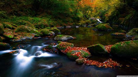 Autumn Forest River Ultra Hd Desktop Background Wallpaper