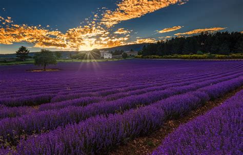 Wallpaper Landscape Sunset France Provence Alpes Cote D