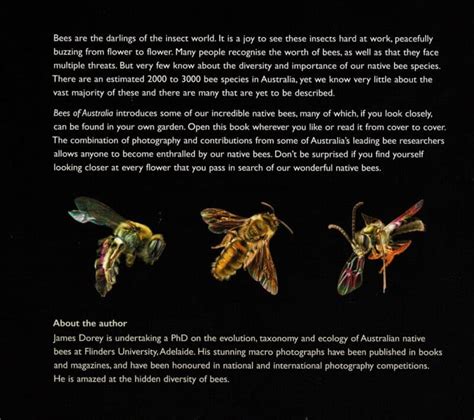 Bees Of Australia A Photographic Guide Abc Maps