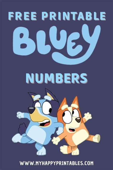 Bluey Numbers