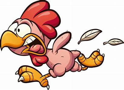 Chicken Cartoon Vector Plucked Scared Running Clipart