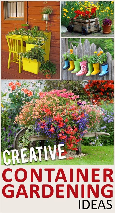 Creative Container Gardening Ideas Gardens Creative And