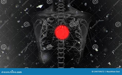 Computer Generated Human Heart Blinking Red Dot System Anatomy Stock