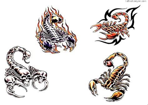 26 Latest Scorpion Tattoo Designs