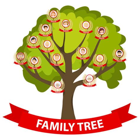 Genealogy Chart Illustrations Royalty Free Vector Graphics And Clip Art