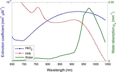 Major Absorbing Chromophores In Human Tissue In 650 1050 Nm Wavelength