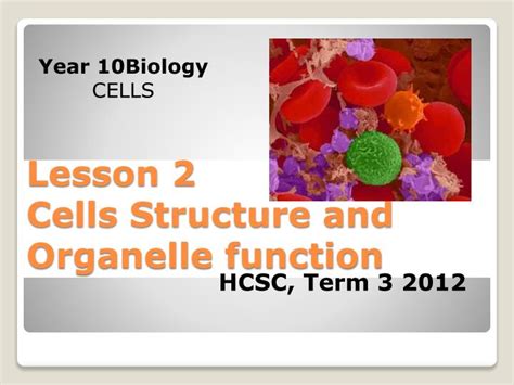 Ppt Lesson 2 Cells Structure And Organelle Function Powerpoint