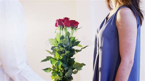Man Gives A Bouquet Of Red Roses To A Woman Stock Photo Image Of