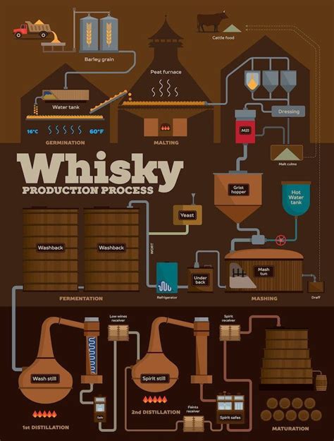 Whisky Distillery Production Process Infographics Distillation Process Whiskey Drinks