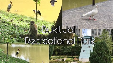 New launching at bukit jalil. A Tour of Bukit Jalil Recreational Park in Kuala Lumpur ...