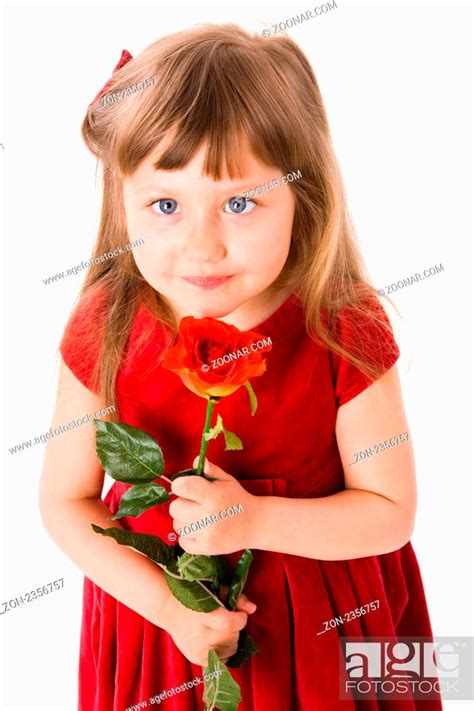 Little Girl Holding Rose Looking Up Isolated On White Stock Photo
