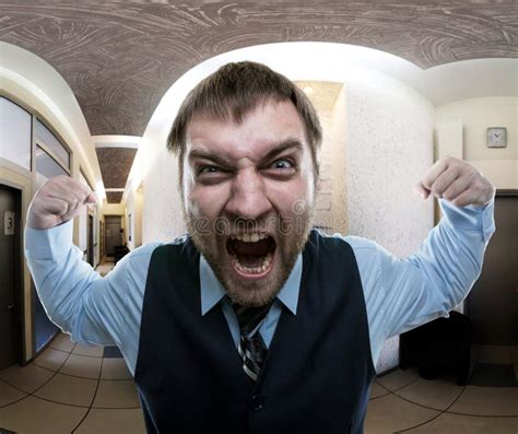 Man Screaming At Office Stock Image Image Of Emotional 49838369