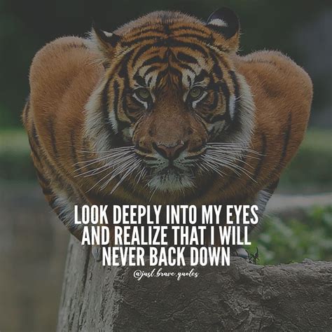 Pin By Sarah French On Tiger Quotes Warrior Quotes Tiger Quotes