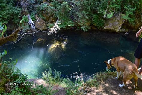 Salmon Creek Falls Swimming Oakridge Oregon Discovery