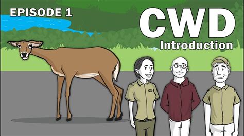Cwd Series Episode 1 Introduction Youtube
