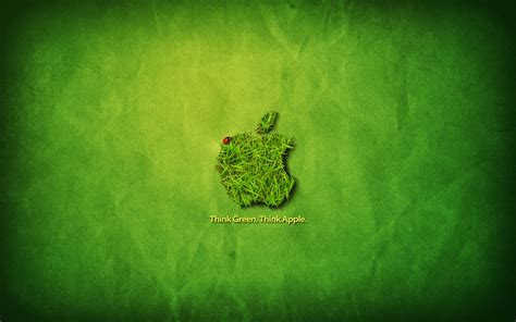 Free Download 45 Hd Green Wallpapersbackgrounds For Download 1920x1080