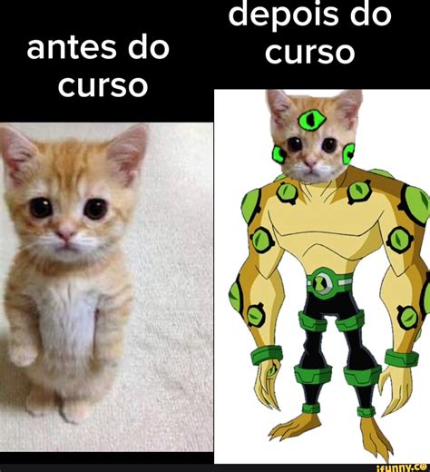 Antes Do Curso Depois Do Curso Meme
