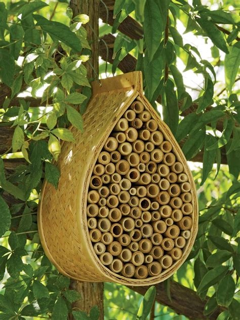 I would lik to know if somebody know a place here near to where i can go and see beekeeping going on. Mason Bee House, Mason Bees - Free Shipping | Gardener's ...