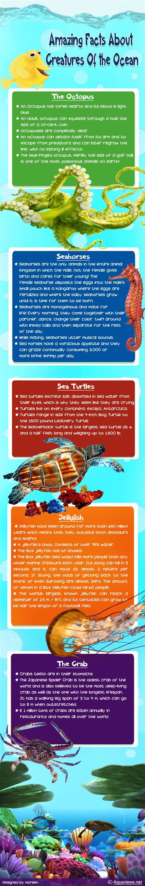 Amazing Facts About Creatures Of The Ocean Infographic Marine Animals