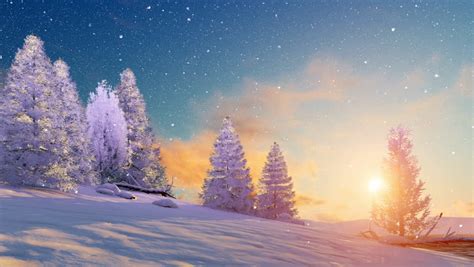 Dreamlike Winter Scenery With Snow Covered Fir Tree Forest Under Scenic Sunset Or Sunrise Sky At
