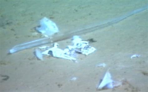 Worlds Deepest Plastic Bag Found At Bottom Of Mariana Trench