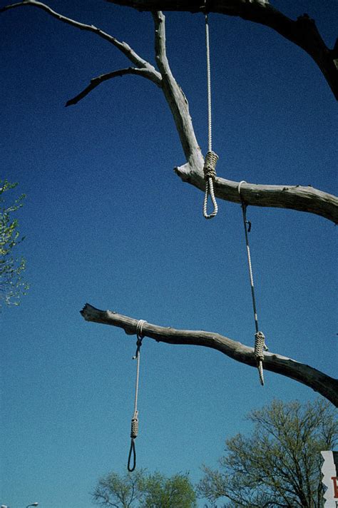lynching tree