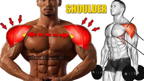 7 Best Shoulder Exercises For Boulder Shoulders Youtube