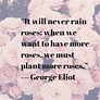 "It will never rain roses: when we want to have more roses, we must ...